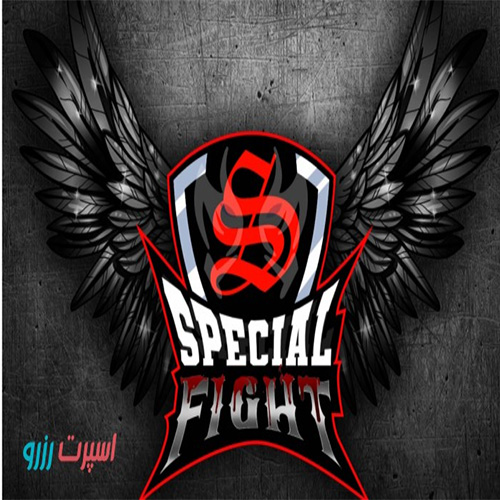 آکادمی هنرهای رزمی و فیتنس مبارز