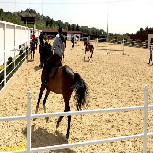 باشگاه سوارکاری ابرش