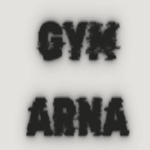 پیست اسکیت آرنا پیست اسکیت آرنا