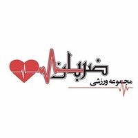 باشگاه ورزشی ضربان